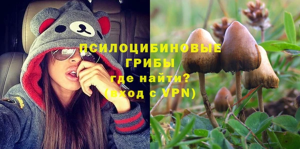 а пвп мука Богданович