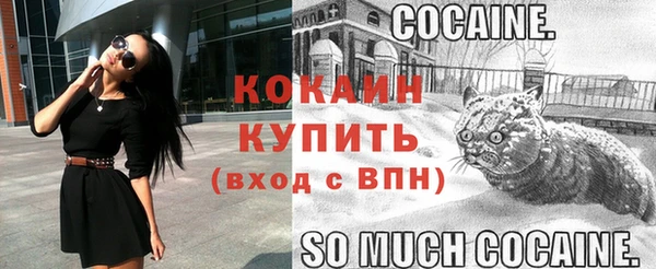 амф Осинники