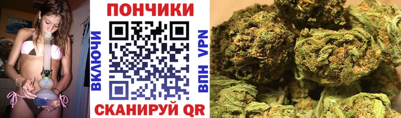 Бошки марихуана планчик наркотики Краснообск